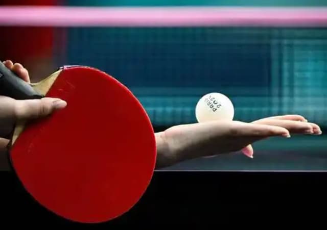 Do You Have To Use A Paddle To Play Table Tennis